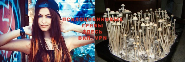 прущая мука Алзамай
