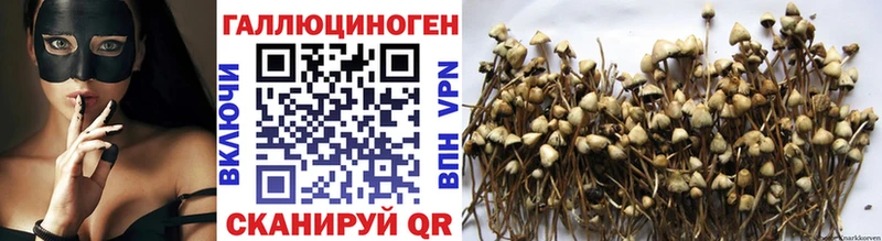 даркнет сайт  Юхнов  Псилоцибиновые грибы GOLDEN TEACHER 